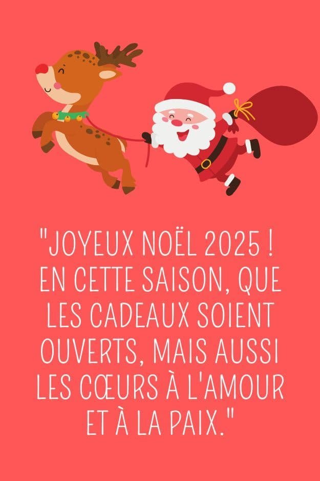 carte de noel amusante