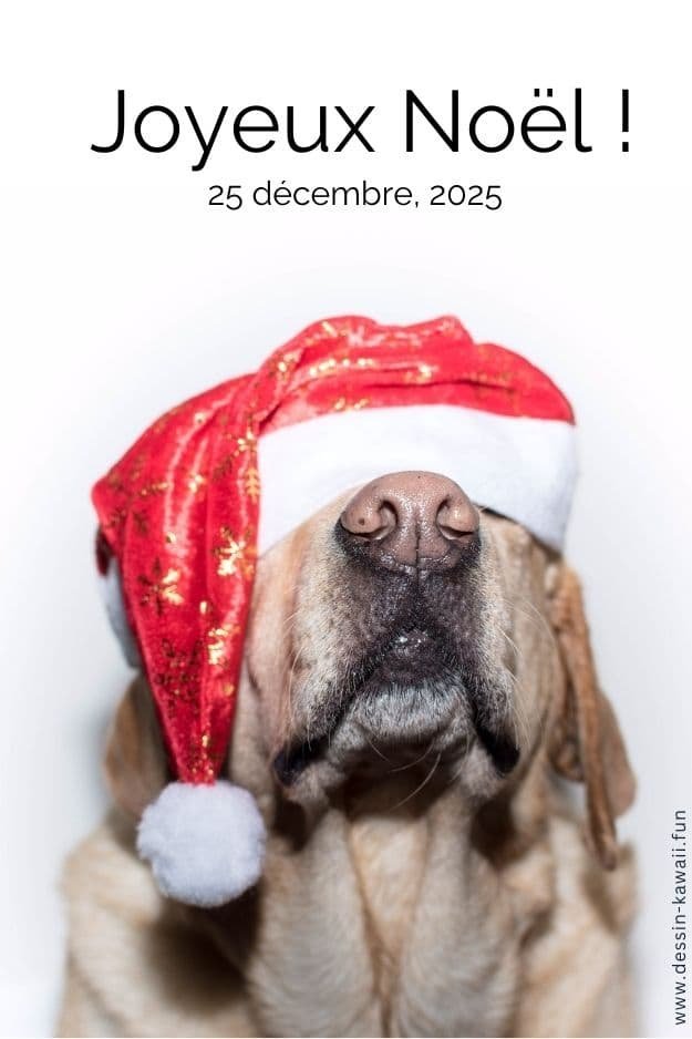 photo joyeux noel