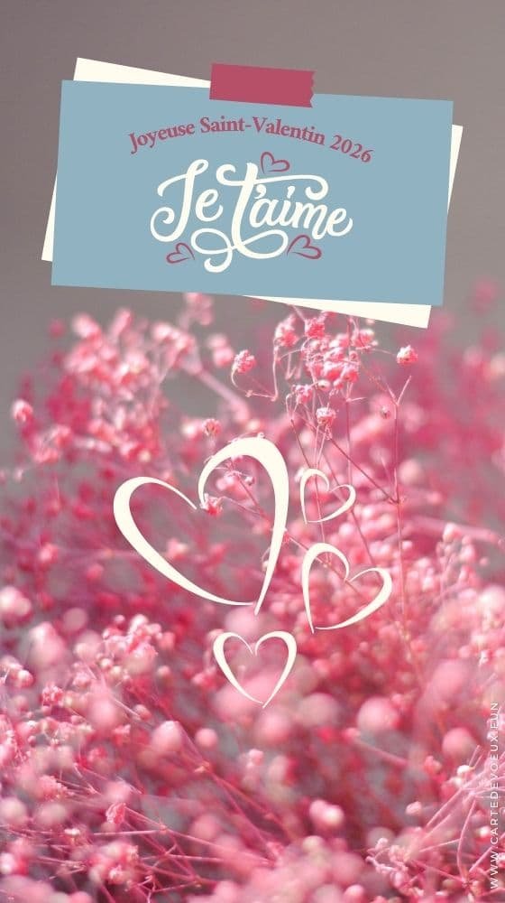 saint valentin carte